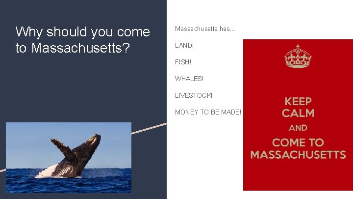 Why should you come to Massachusetts? Massachusetts has… LAND! FISH! WHALES! LIVESTOCK! MONEY TO