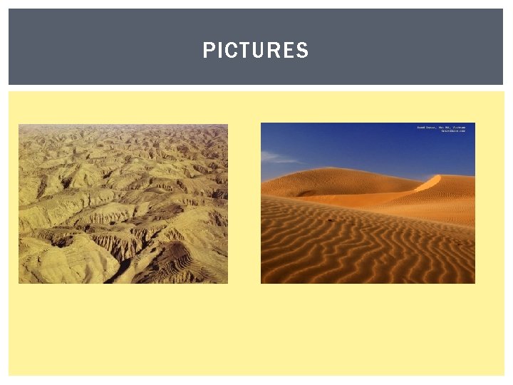 PICTURES 
