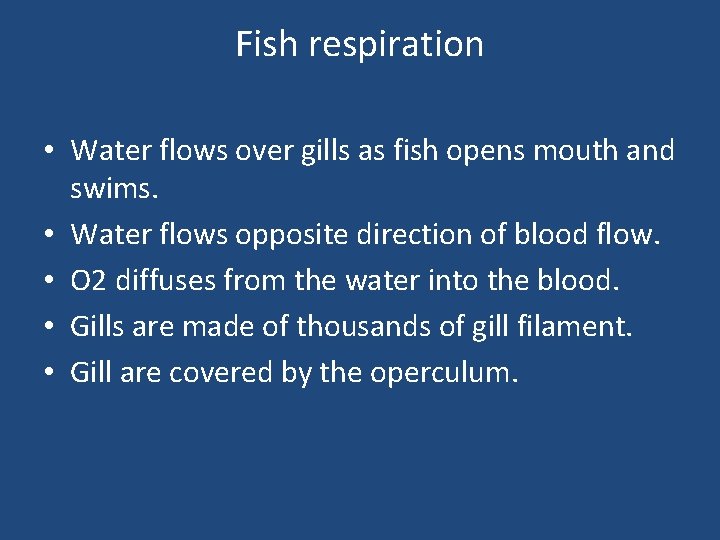 Fish respiration • Water flows over gills as fish opens mouth and swims. •