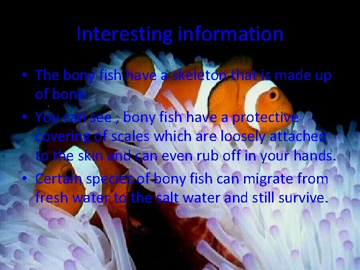 Interesting information • The bony fish have a skeleton that is made up of
