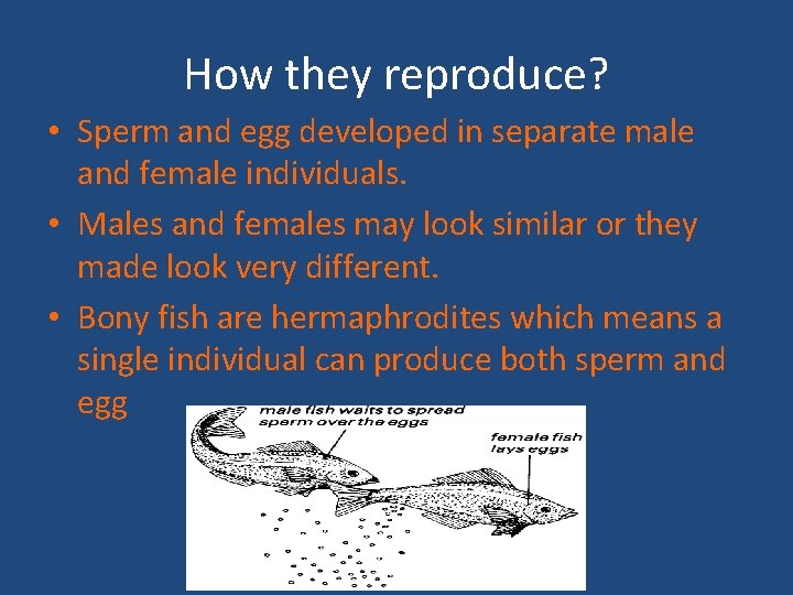 How they reproduce? • Sperm and egg developed in separate male and female individuals.