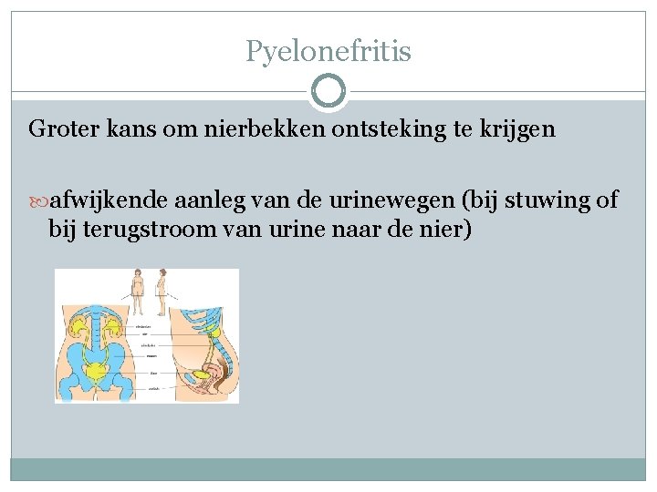 Pyelonefritis Groter kans om nierbekken ontsteking te krijgen afwijkende aanleg van de urinewegen (bij
