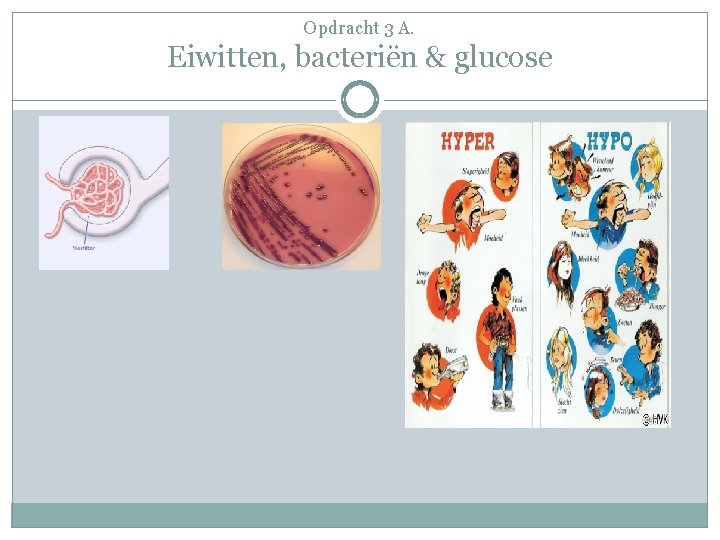 Opdracht 3 A. Eiwitten, bacteriën & glucose 