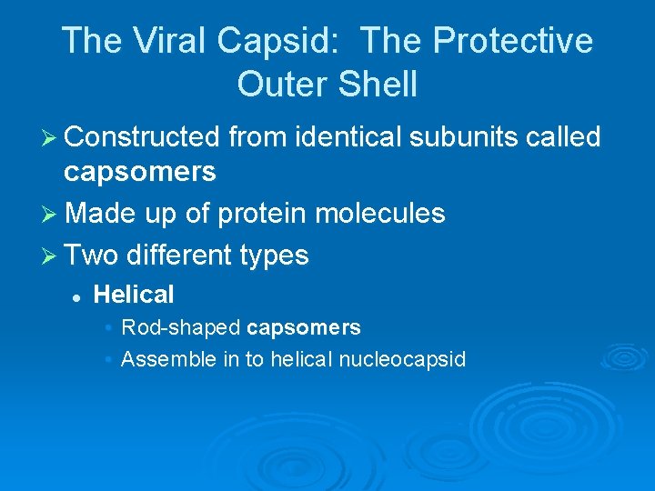 The Viral Capsid: The Protective Outer Shell Ø Constructed from identical subunits called capsomers The Viral Capsid: The Protective Outer Shell Ø Constructed from identical subunits called capsomers