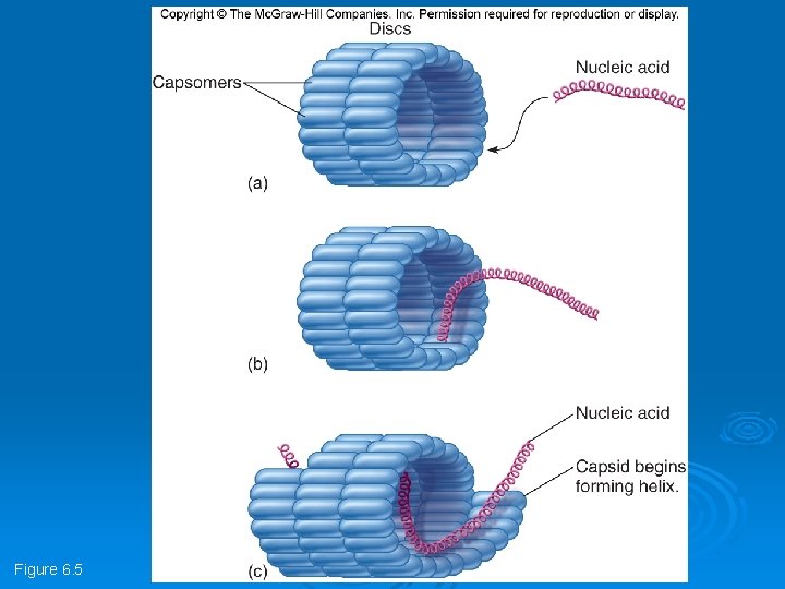 Figure 6. 5 Figure 6. 5