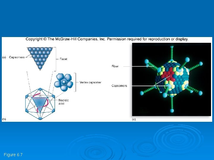 Figure 6. 7 Figure 6. 7