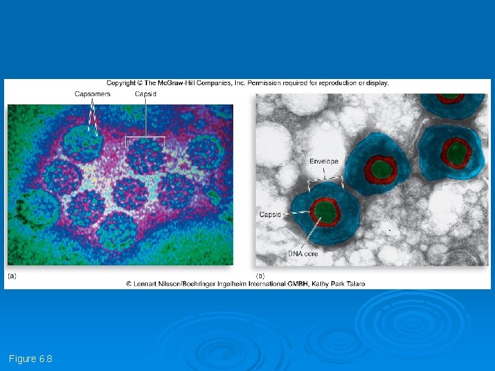 Figure 6. 8 Figure 6. 8