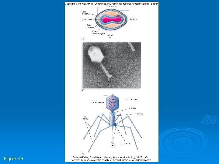 Figure 6. 9 Figure 6. 9
