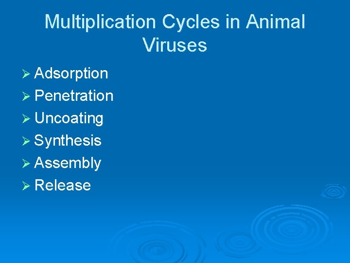 Multiplication Cycles in Animal Viruses Ø Adsorption Ø Penetration Ø Uncoating Ø Synthesis Ø Multiplication Cycles in Animal Viruses Ø Adsorption Ø Penetration Ø Uncoating Ø Synthesis Ø
