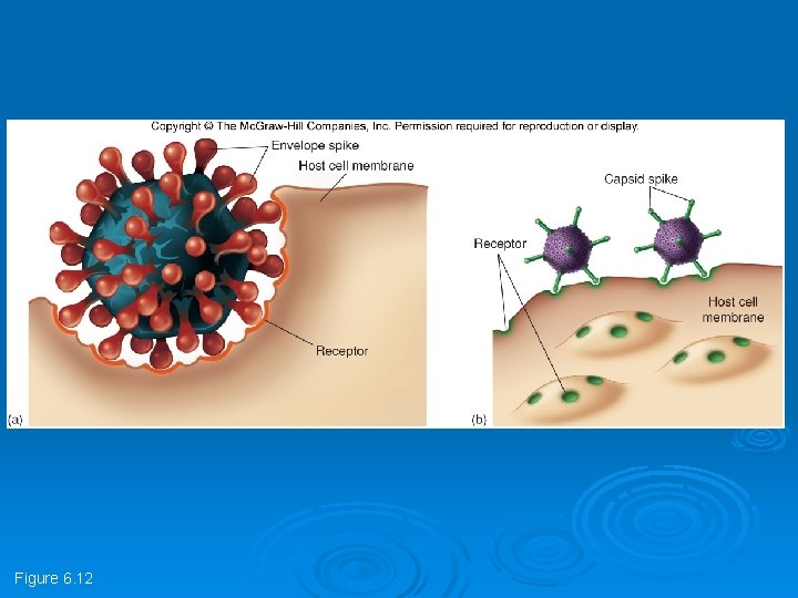 Figure 6. 12 Figure 6. 12