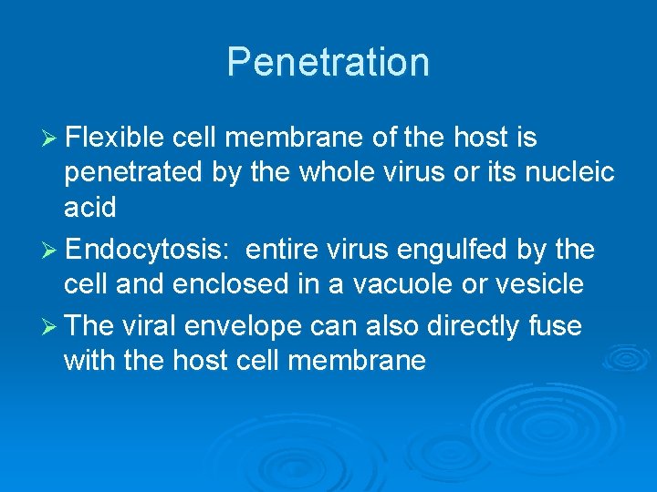 Penetration Ø Flexible cell membrane of the host is penetrated by the whole virus Penetration Ø Flexible cell membrane of the host is penetrated by the whole virus