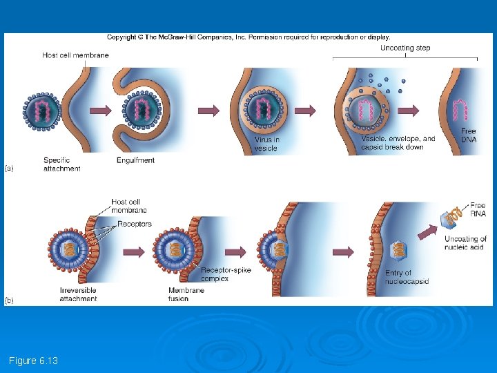 Figure 6. 13 Figure 6. 13