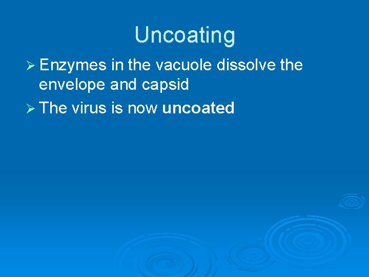 Uncoating Ø Enzymes in the vacuole dissolve the envelope and capsid Ø The virus Uncoating Ø Enzymes in the vacuole dissolve the envelope and capsid Ø The virus