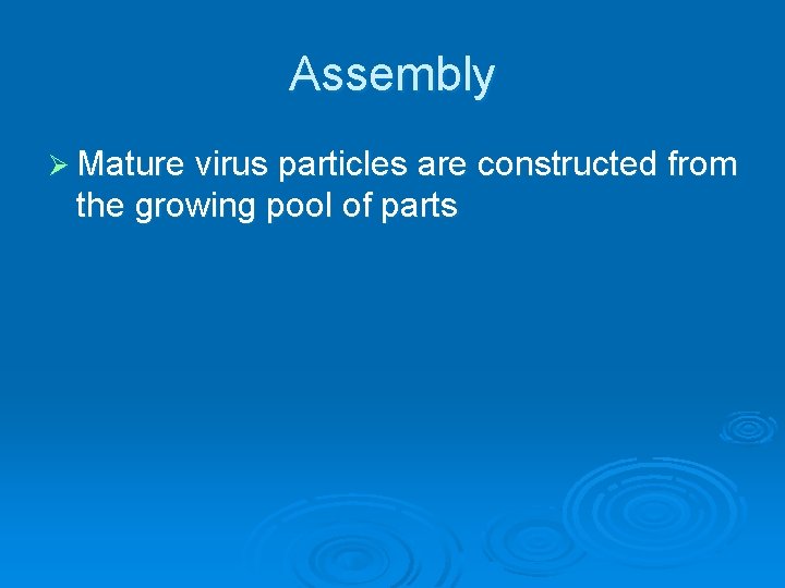 Assembly Ø Mature virus particles are constructed from the growing pool of parts Assembly Ø Mature virus particles are constructed from the growing pool of parts