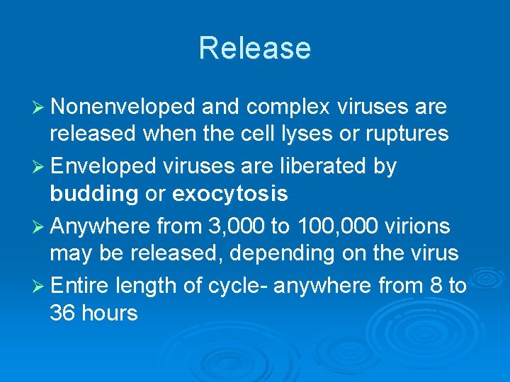 Release Ø Nonenveloped and complex viruses are released when the cell lyses or ruptures Release Ø Nonenveloped and complex viruses are released when the cell lyses or ruptures