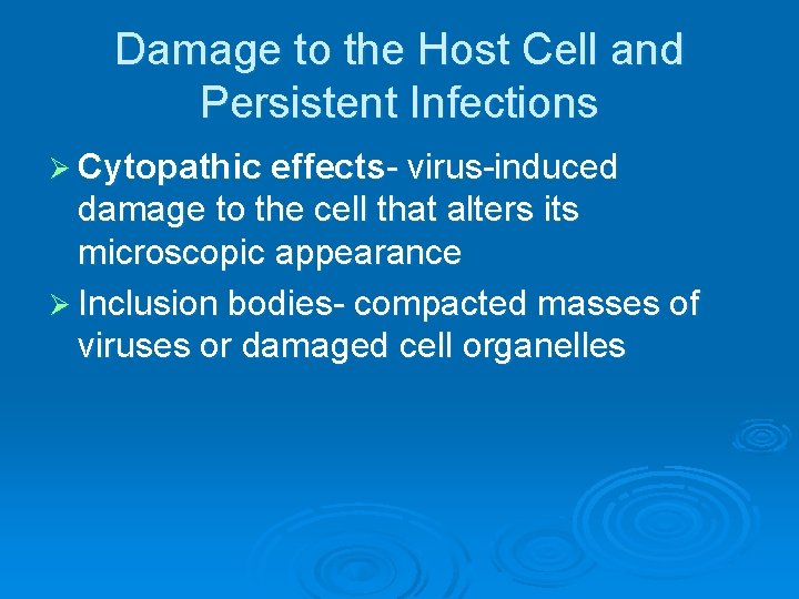 Damage to the Host Cell and Persistent Infections Ø Cytopathic effects- virus-induced damage to Damage to the Host Cell and Persistent Infections Ø Cytopathic effects- virus-induced damage to