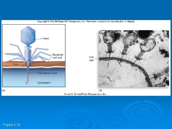 Figure 6. 18 Figure 6. 18