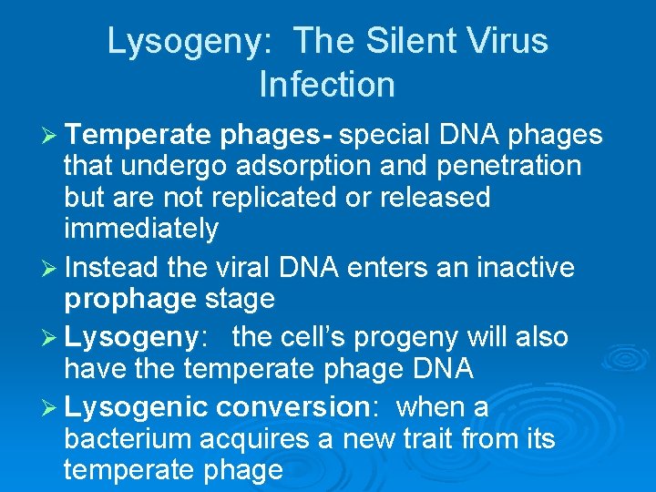 Lysogeny: The Silent Virus Infection Ø Temperate phages- special DNA phages that undergo adsorption Lysogeny: The Silent Virus Infection Ø Temperate phages- special DNA phages that undergo adsorption