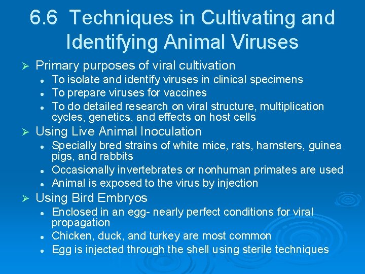 6. 6 Techniques in Cultivating and Identifying Animal Viruses Ø Primary purposes of viral 6. 6 Techniques in Cultivating and Identifying Animal Viruses Ø Primary purposes of viral