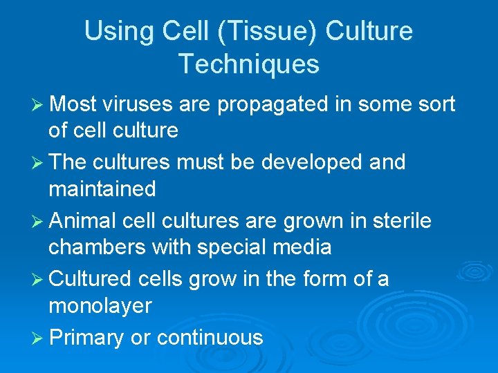 Using Cell (Tissue) Culture Techniques Ø Most viruses are propagated in some sort of Using Cell (Tissue) Culture Techniques Ø Most viruses are propagated in some sort of
