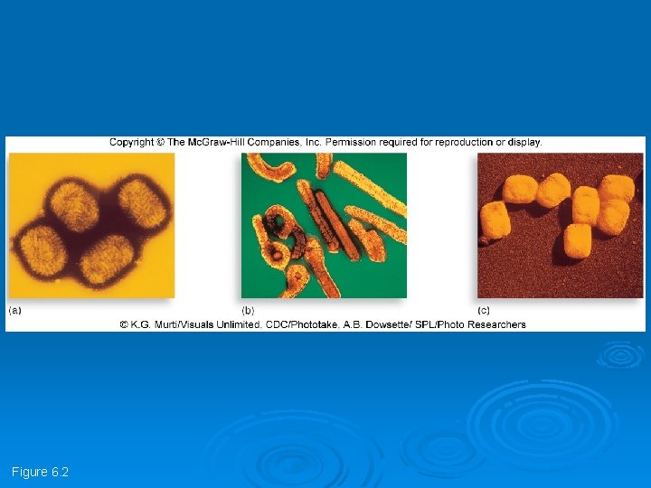 Figure 6. 2 Figure 6. 2