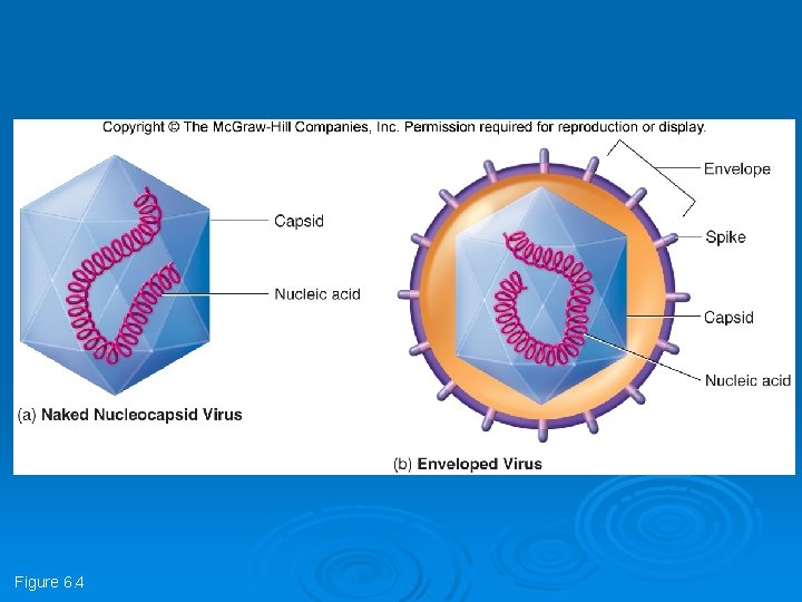 Figure 6. 4 Figure 6. 4
