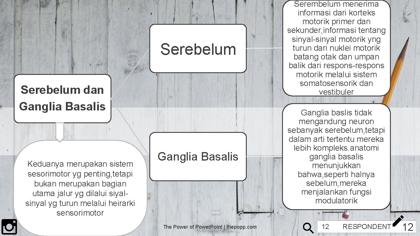Serebelum Serembelum menerima informasi dari korteks motorik primer dan sekunder, informasi tentang sinyal-sinyal motorik