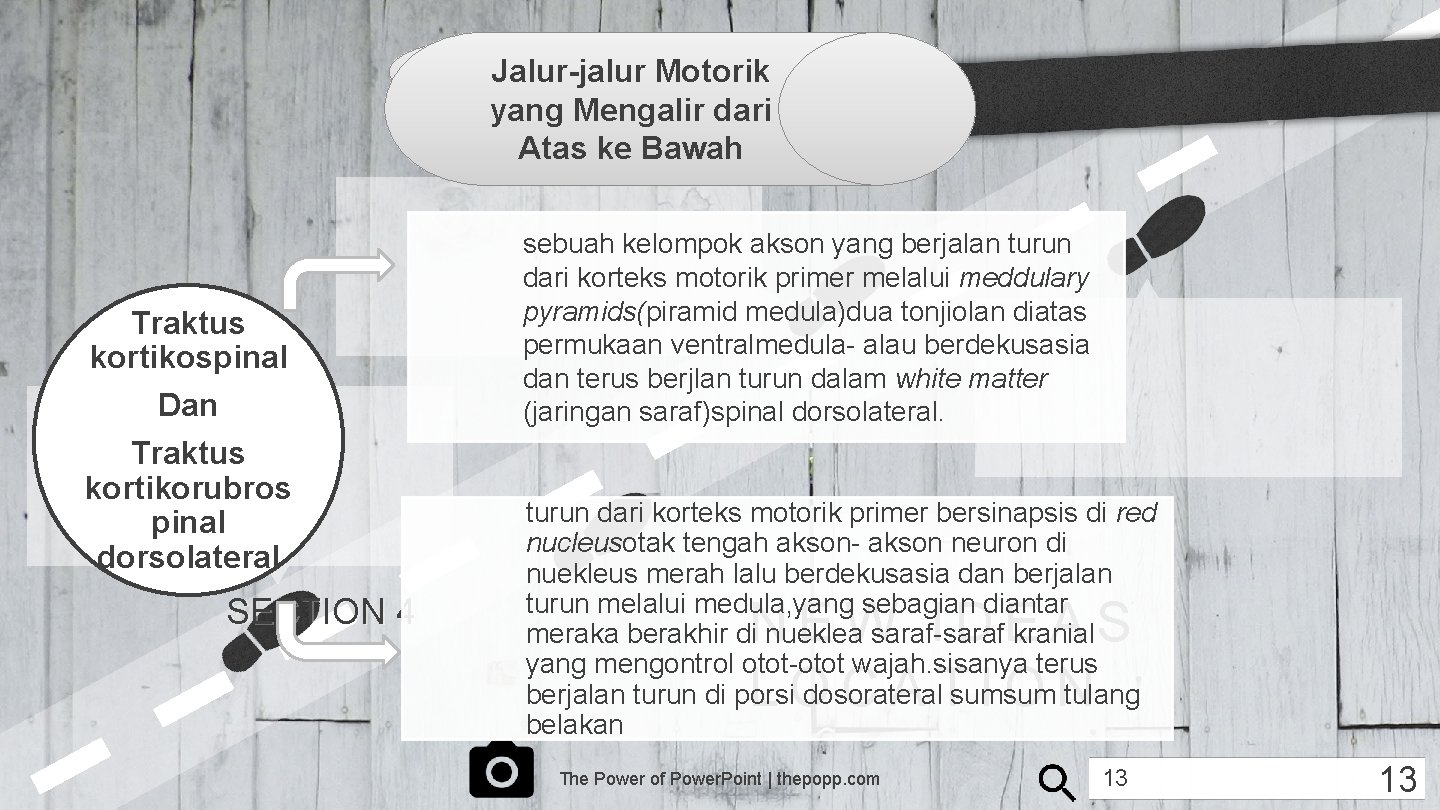 TINJAUAN Jalur-jalur Motorik PUSTAKA yang Mengalir dari Atas ke Bawah Traktus kortikospinal Dan Traktus