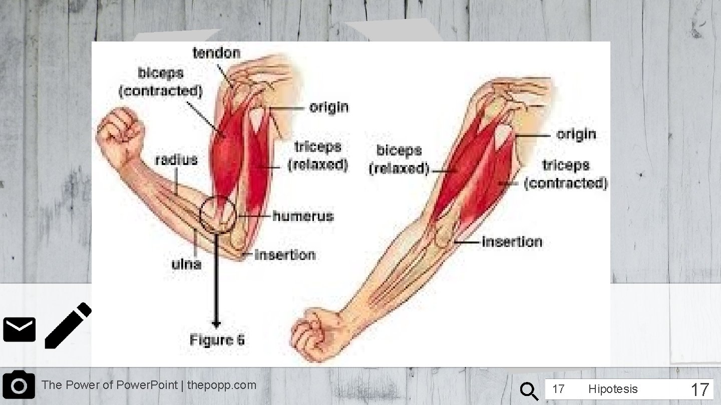 The Power of Power. Point | thepopp. com 17 Hipotesis 17 