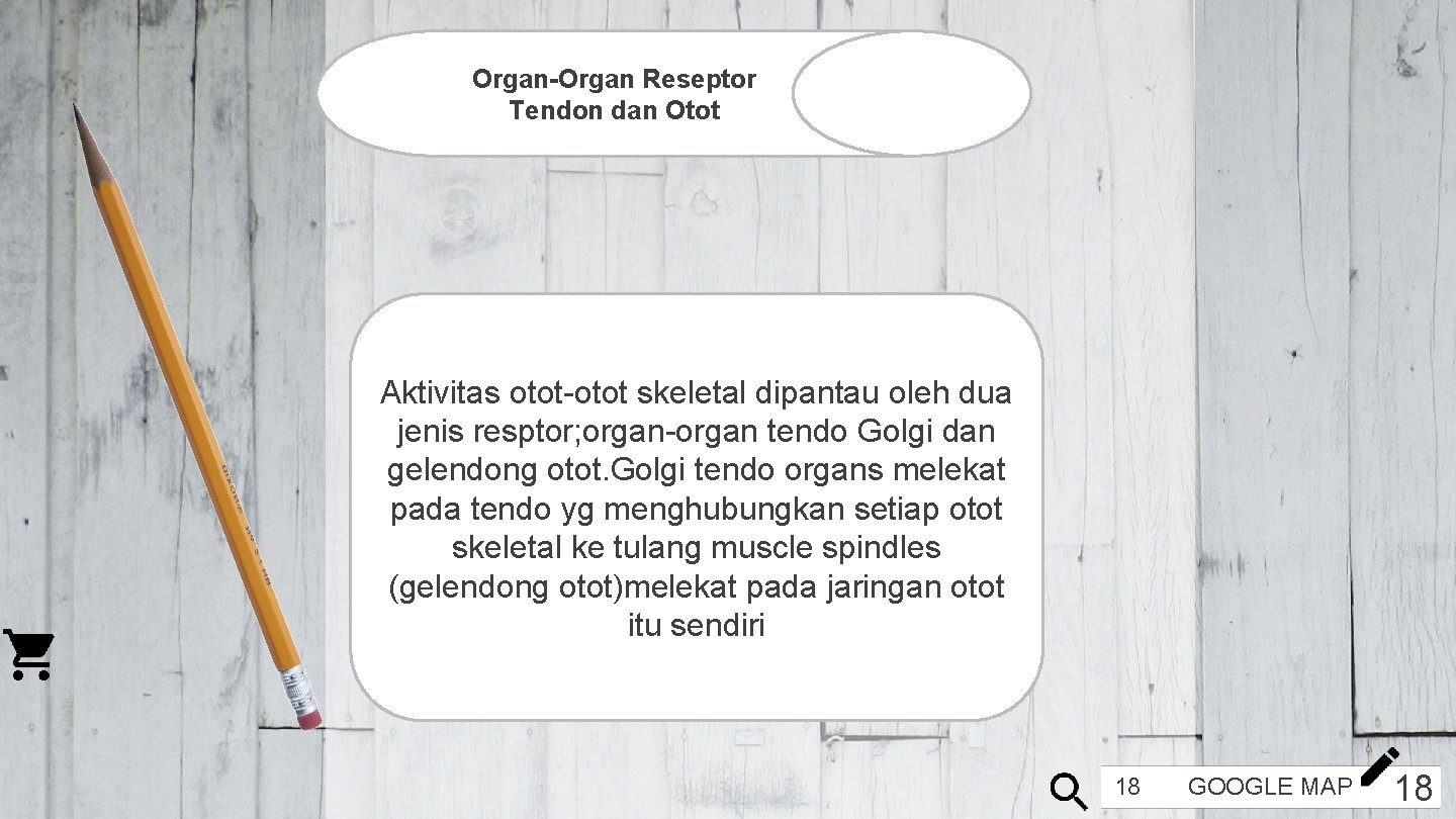 Organ-Organ Reseptor Tendon dan Otot Aktivitas otot-otot skeletal dipantau oleh dua jenis resptor; organ-organ