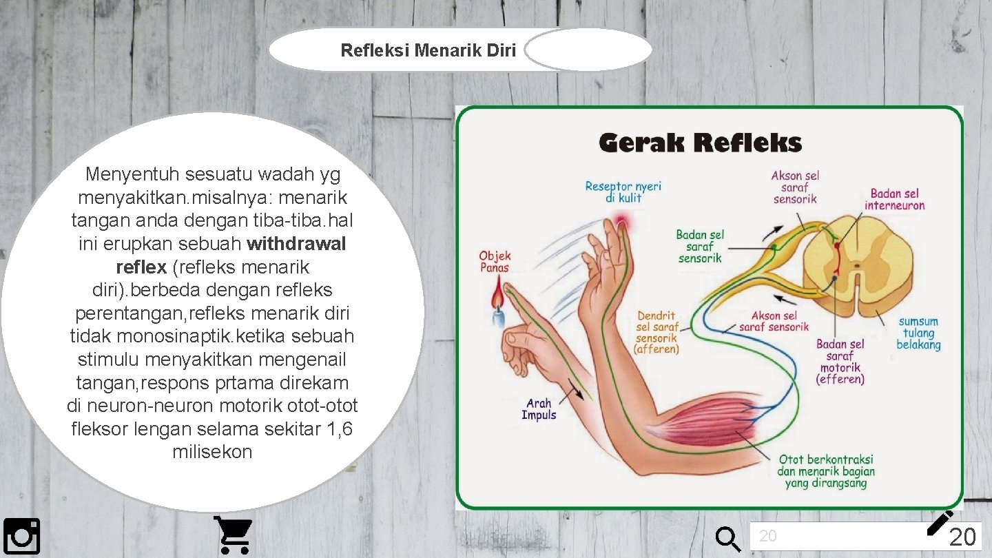Refleksi Menarik Diri Menyentuh sesuatu wadah yg menyakitkan. misalnya: menarik tangan anda dengan tiba-tiba.