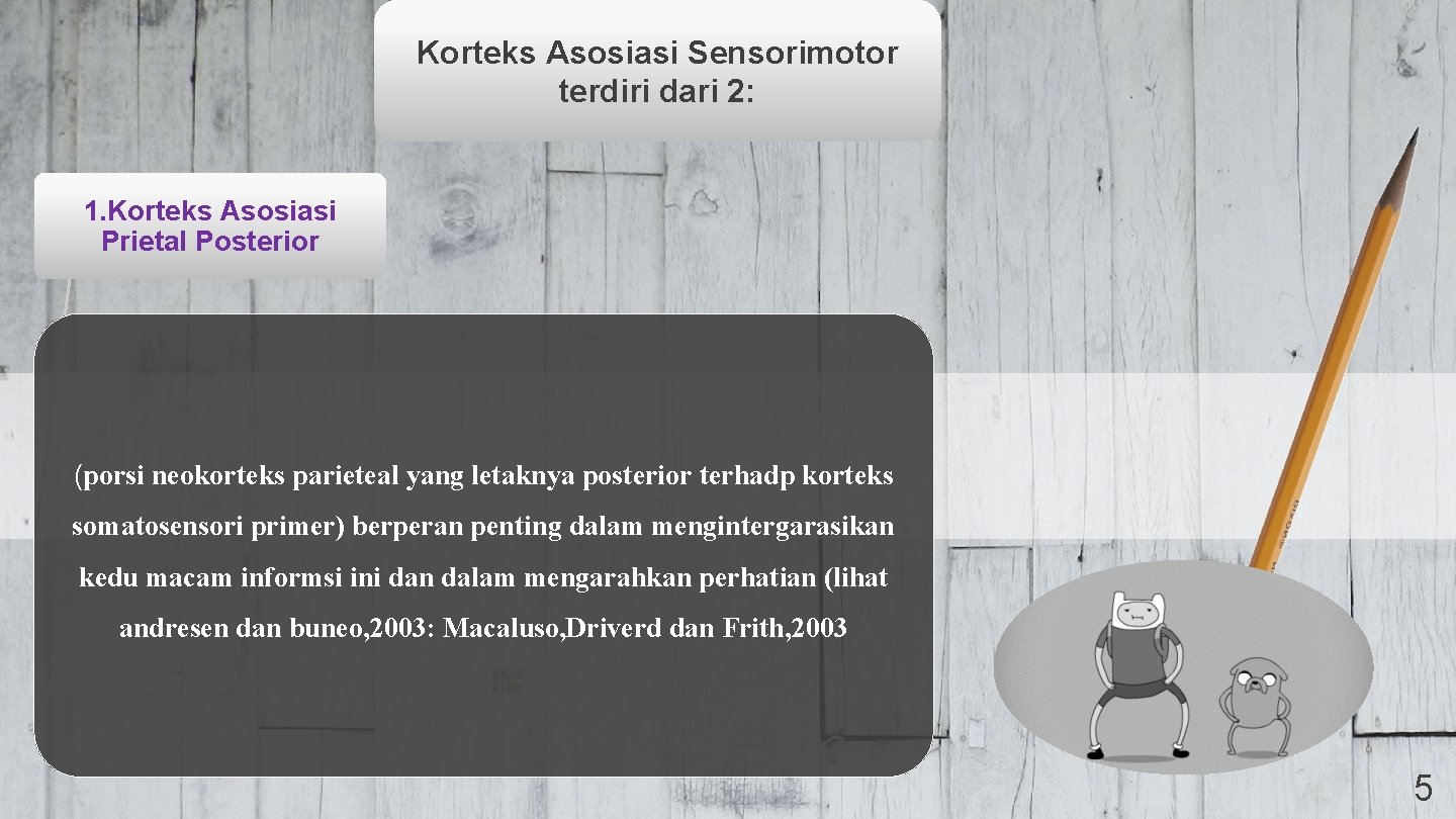 Korteks Asosiasi Sensorimotor terdiri dari 2: 1. Korteks Asosiasi Prietal Posterior (porsi neokorteks parieteal