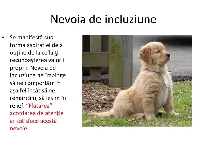 Nevoia de incluziune • Se manifestă sub forma aspiraţiei de a obţine de la