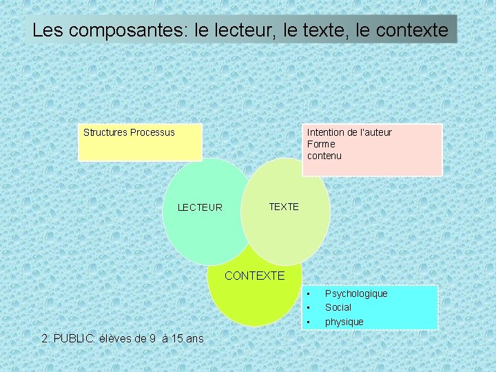 Les composantes: le lecteur, le texte, le contexte Structures Processus Intention de l’auteur Forme