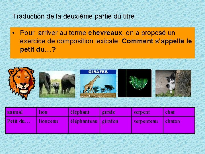 Traduction de la deuxième partie du titre • Pour arriver au terme chevreaux, on