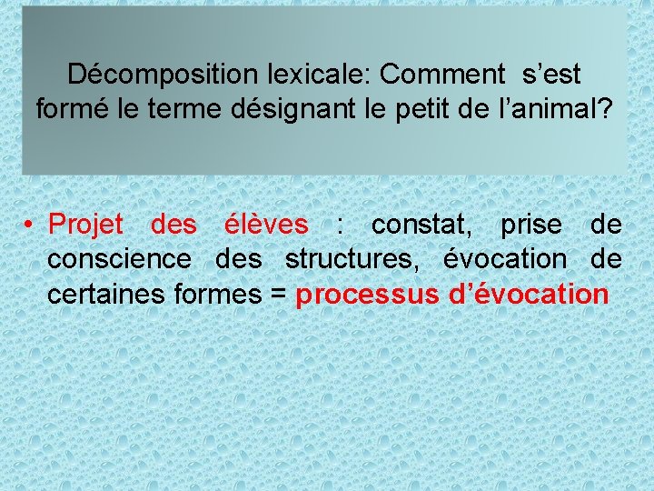 Décomposition lexicale: Comment s’est formé le terme désignant le petit de l’animal? • Projet