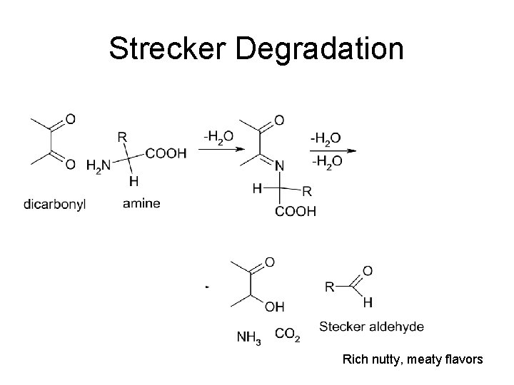 Strecker Degradation Rich nutty, meaty flavors 