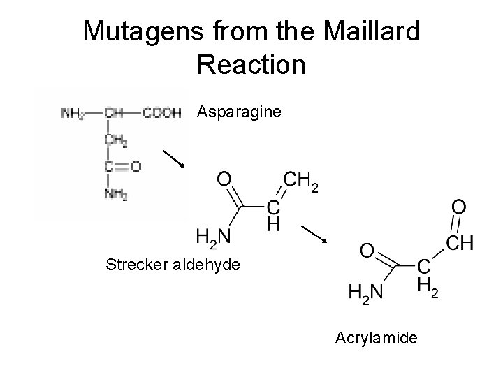 Mutagens from the Maillard Reaction Asparagine Strecker aldehyde Acrylamide 