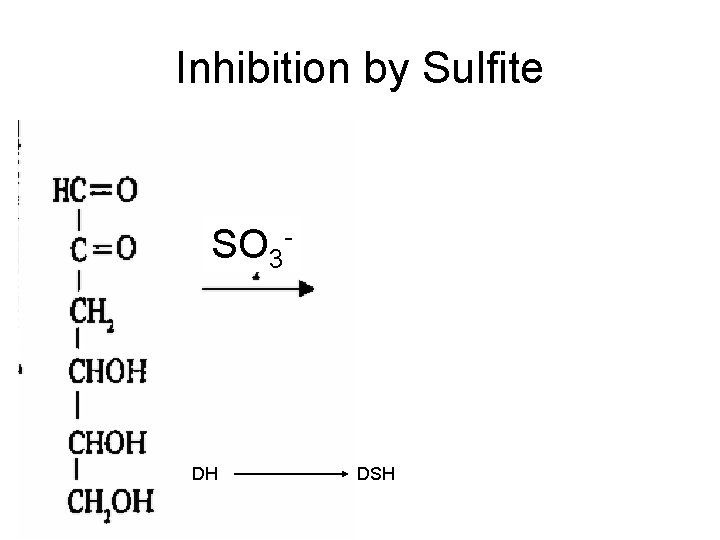 Inhibition by Sulfite SO 3 - DH DSH 