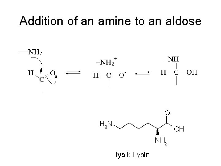 Addition of an amine to an aldose 