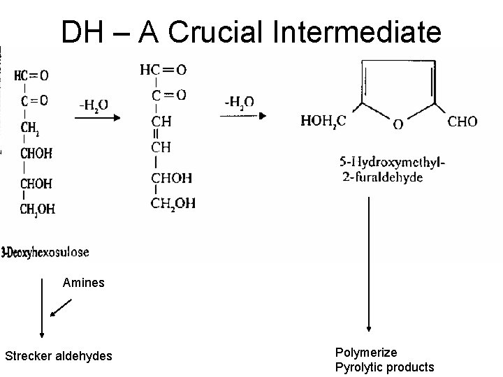 DH – A Crucial Intermediate Amines Strecker aldehydes Polymerize Pyrolytic products 