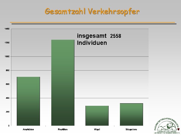 Gesamtzahl Verkehrsopfer insgesamt 2558 Individuen 