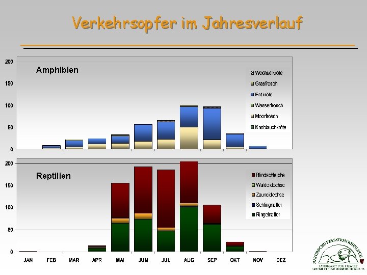 Verkehrsopfer im Jahresverlauf Amphibien Reptilien 