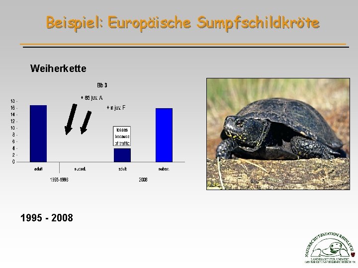 Beispiel: Europäische Sumpfschildkröte Weiherkette 1995 - 2008 