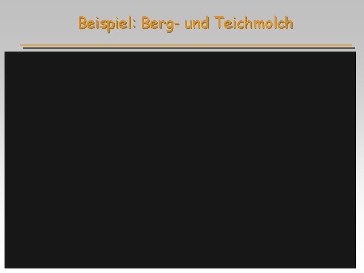 Beispiel: Berg- und Teichmolch 