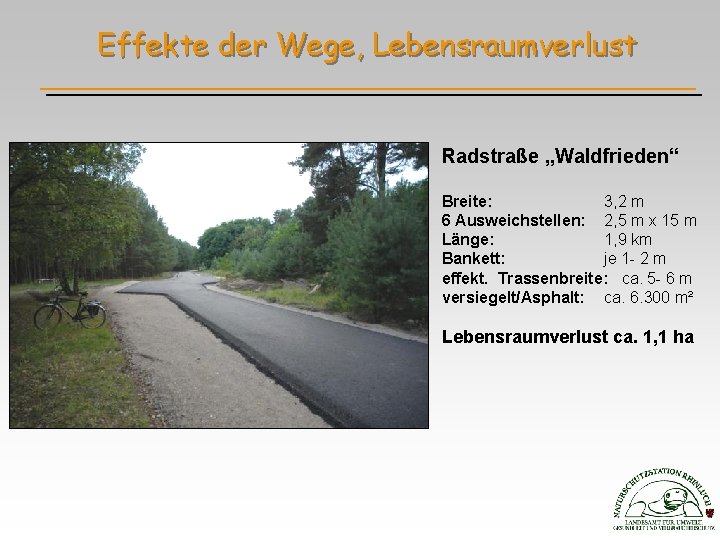 Effekte der Wege, Lebensraumverlust Radstraße „Waldfrieden“ Breite: 3, 2 m 6 Ausweichstellen: 2, 5