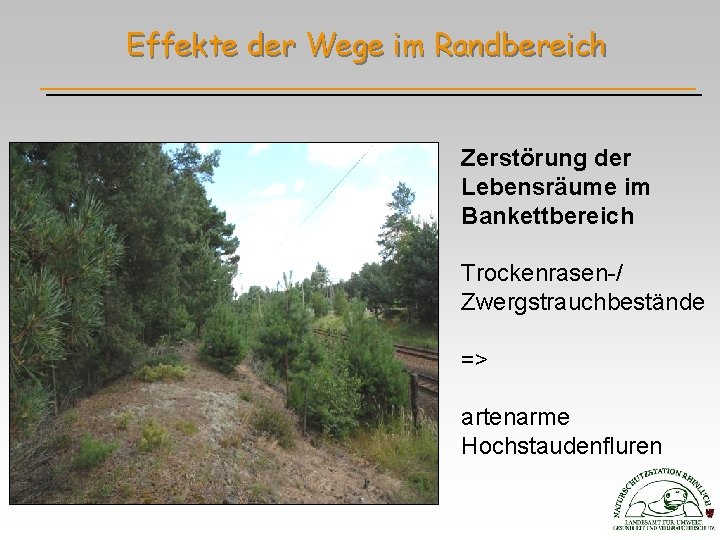 Effekte der Wege im Randbereich Zerstörung der Lebensräume im Bankettbereich Trockenrasen-/ Zwergstrauchbestände => artenarme