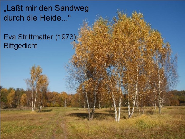 „Laßt mir den Sandweg durch die Heide. . . “ Eva Strittmatter (1973): Bittgedicht