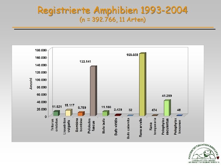 Registrierte Amphibien 1993 -2004 (n = 392. 766, 11 Arten) 