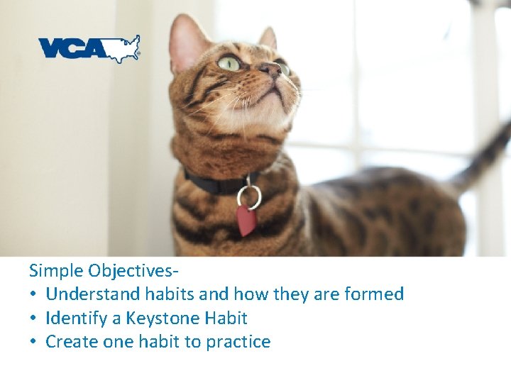 Simple Objectives • Understand habits and how they are formed • Identify a Keystone